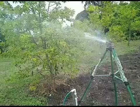 Working Sprinkler System