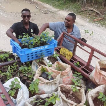 New fruit trees added for diversity